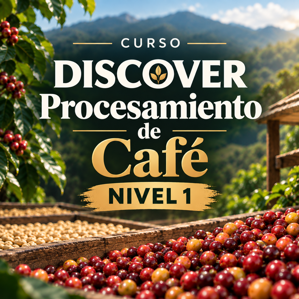 DISCOVER - Fundamentos del Procesamiento